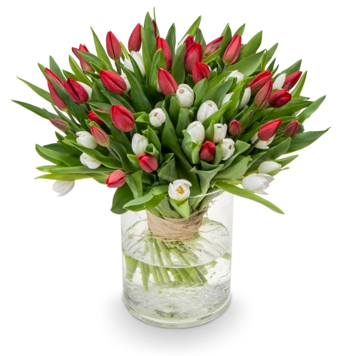 Bouquet of red tulips